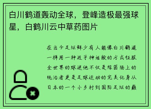 白川鹤道轰动全球，登峰造极最强球星，白鹤川云中草药图片